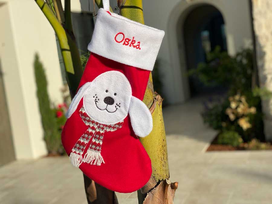 Chewy Christmas Stocking with a Dog