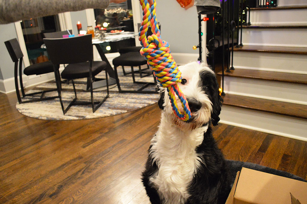 Chewy Cotton Rope Toy