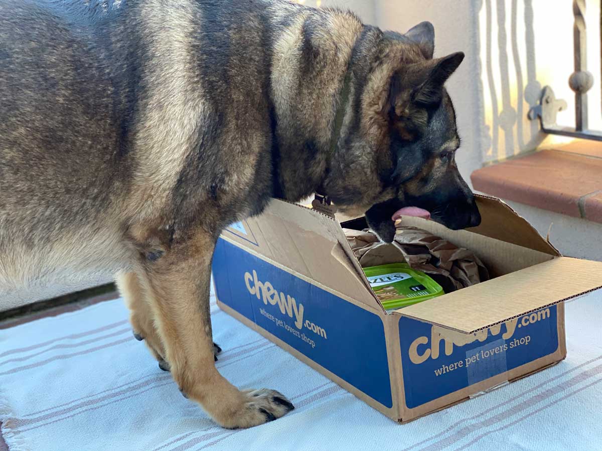 Chewy Delivery for German Shepherd