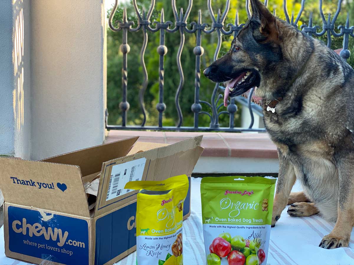 Chewy Dog Food Delivery Promo