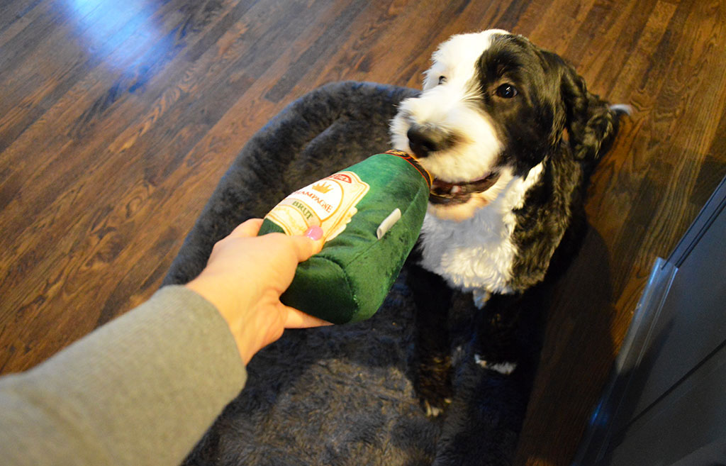 Chewy Frisco Plush Champagne Dog Toy