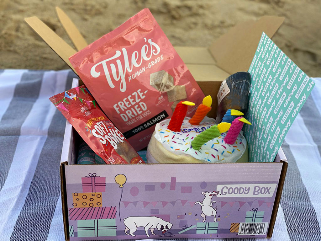 Cewy Goody Box Birthday Toys And Treats