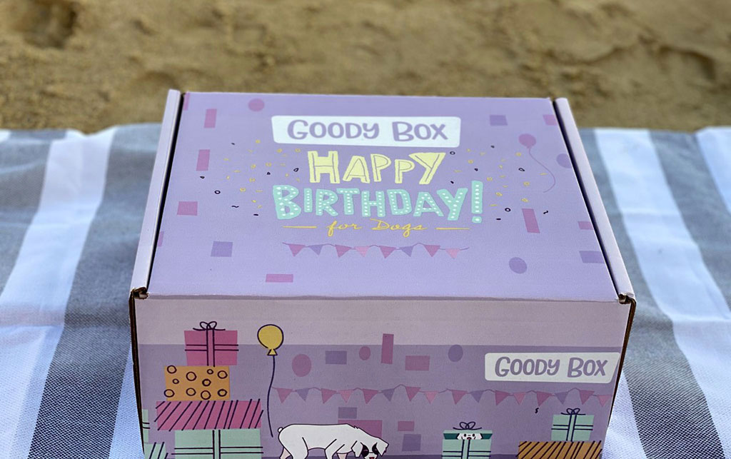 Chewy Goody Box Happy Birthday For Dogs