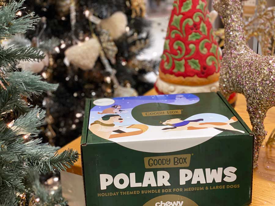 Chewy Goody Box Polar Paws for Medium and Big Dogs