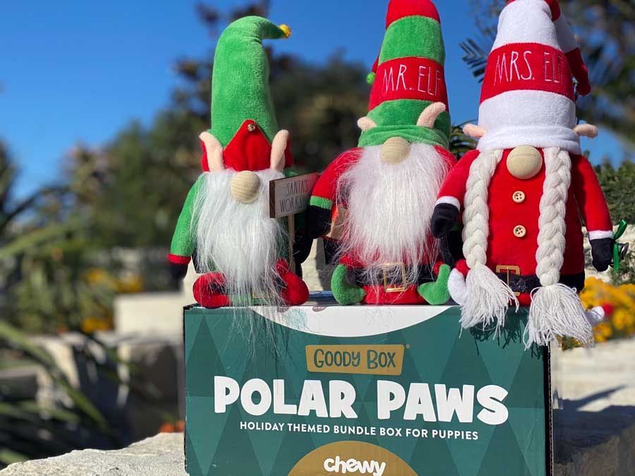 Chewy Goody Box Polar Paws for Puppies 2021