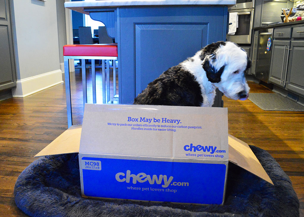 Chewy Goody Box Review