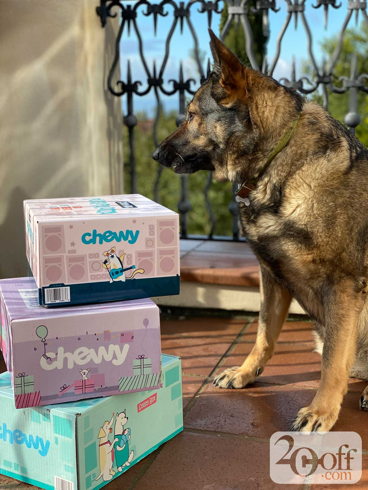 Chewy Goody Boxes