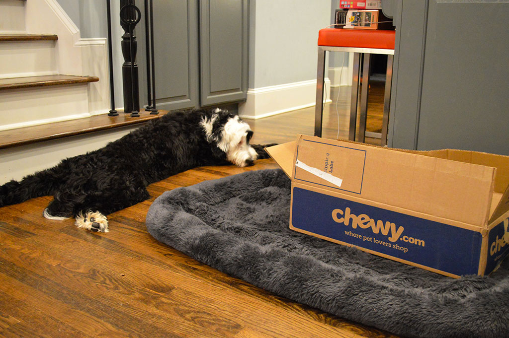 Chewy Monthly Box