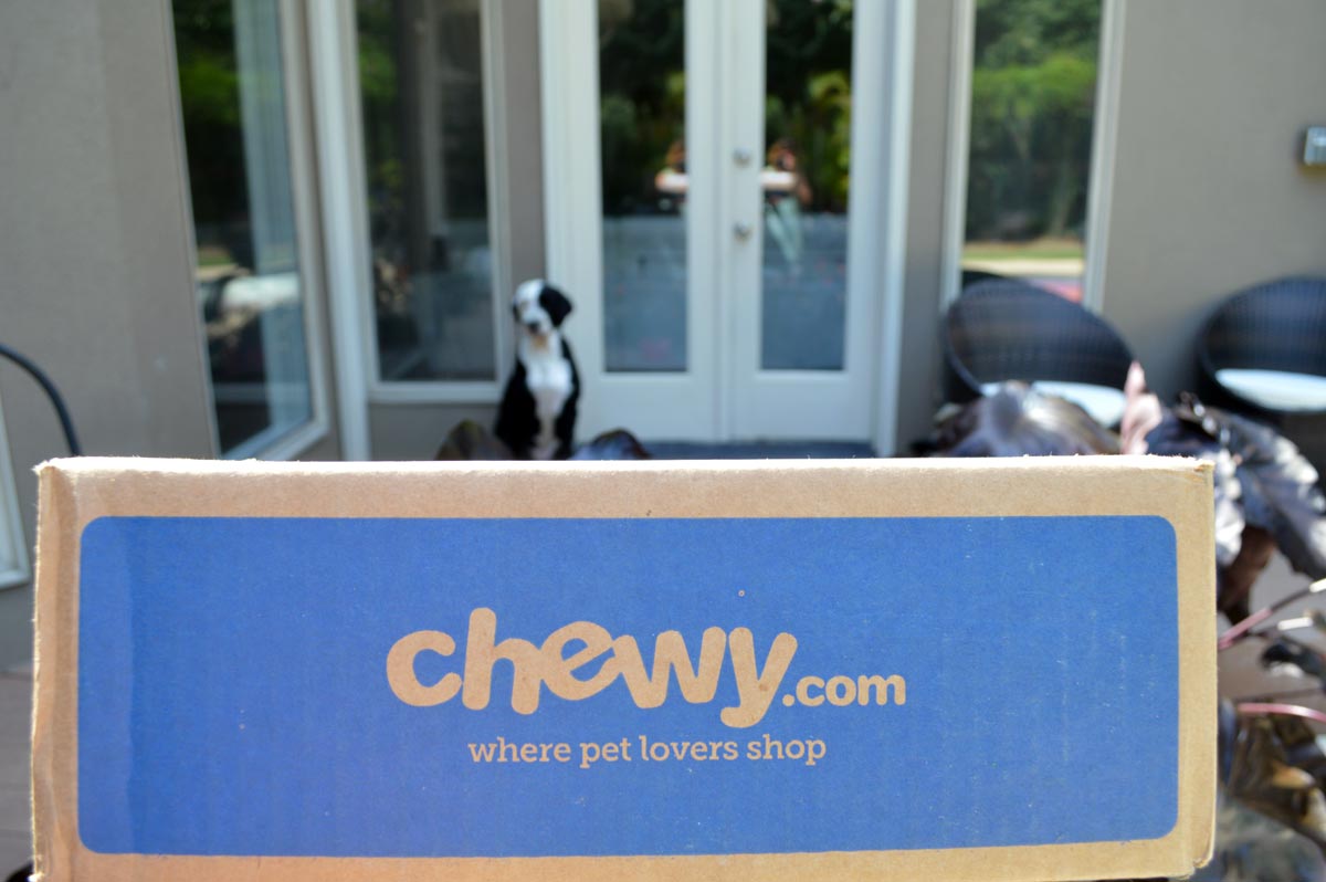 Chewy Outdoor Toys