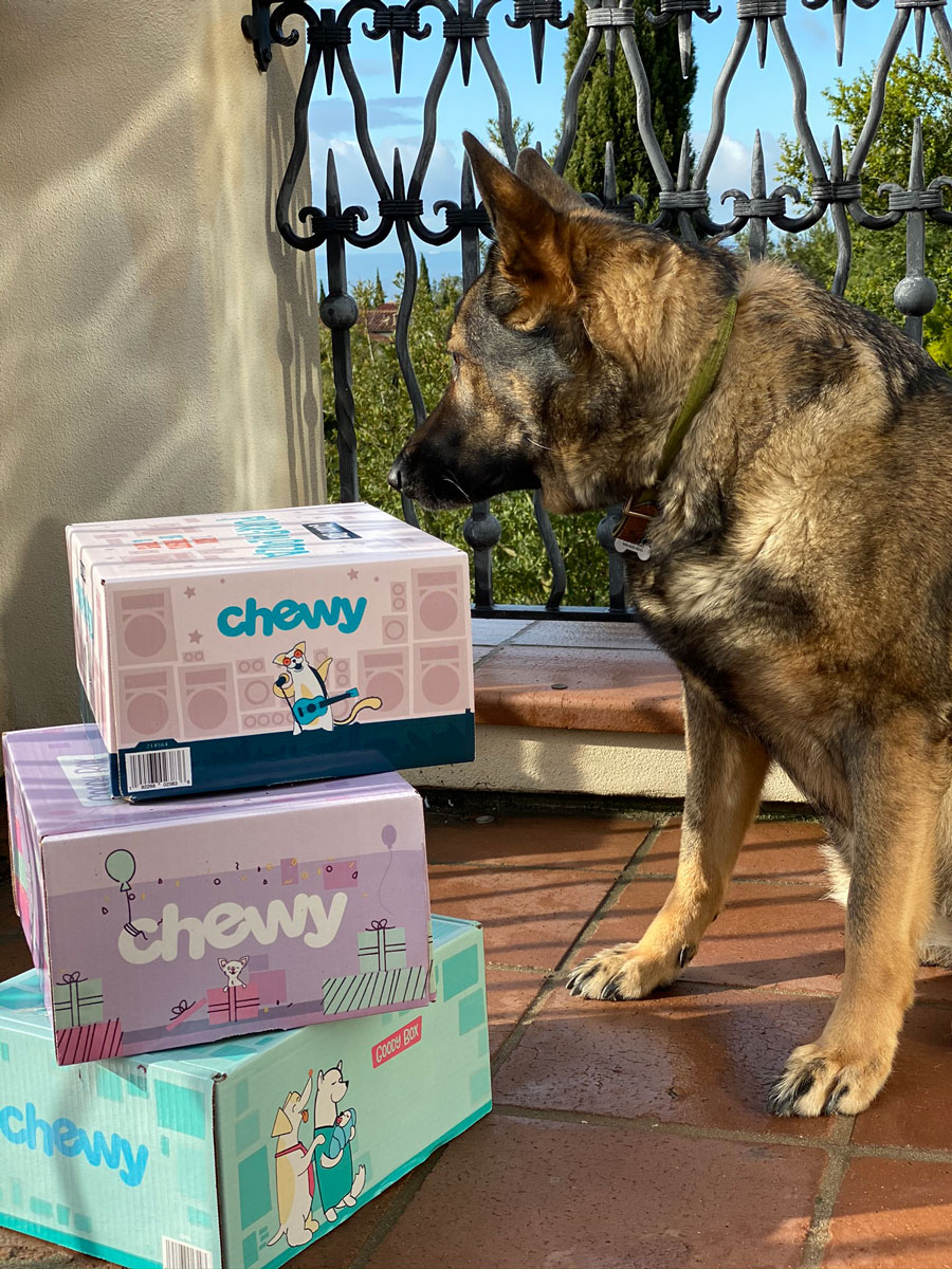 Chewy Pet Boxes