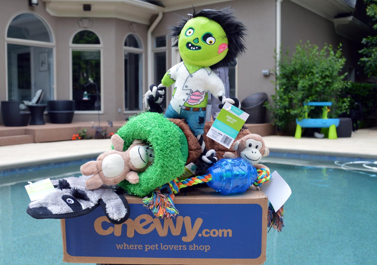 Chewy Pet Toy Summer Coupons