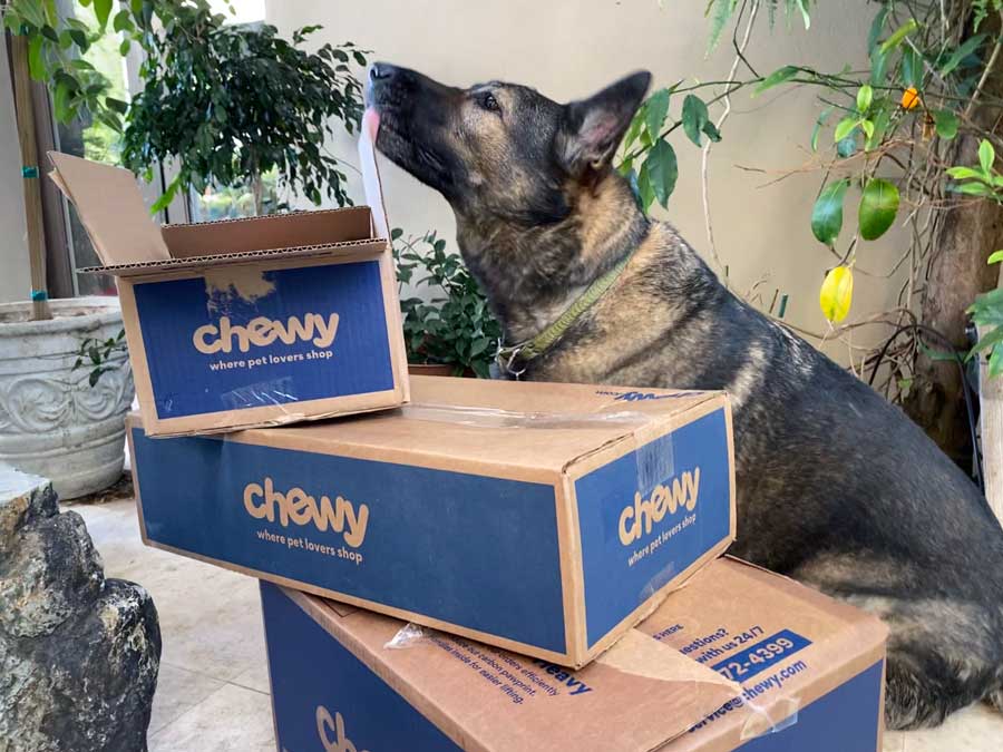 Chewy Promotion Offers 2021