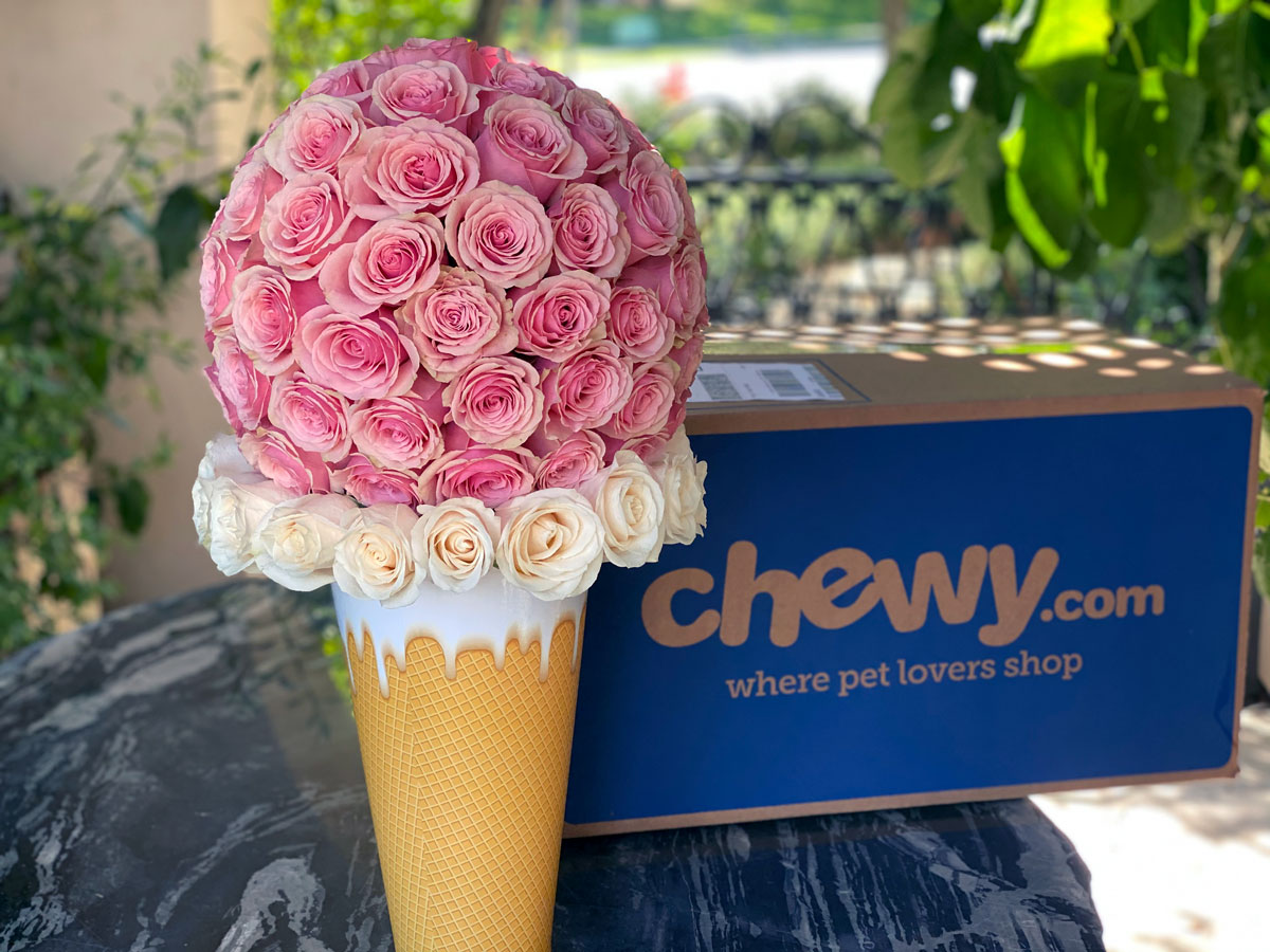 Chewy Promotional Deals 20off
