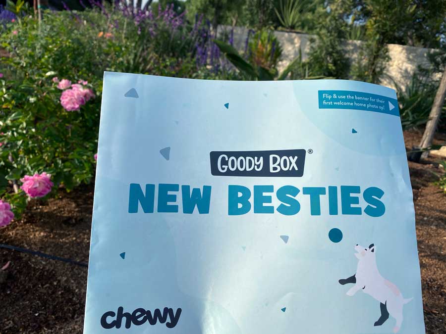 Chewy Puppy Box Fall 2021