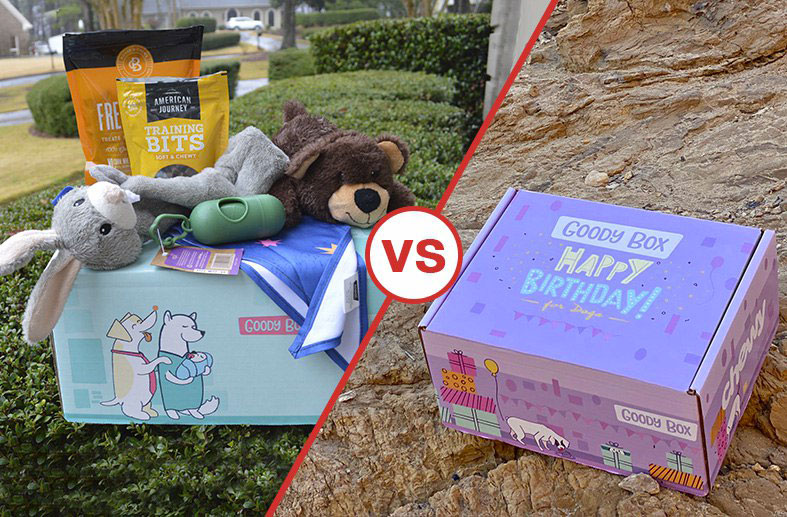Chewy Puppy Box vs Birthday Box