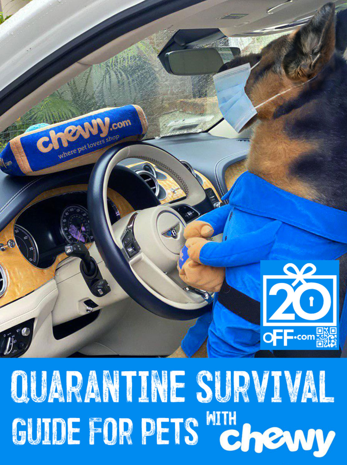 Chewy Quarantine Survival Guide