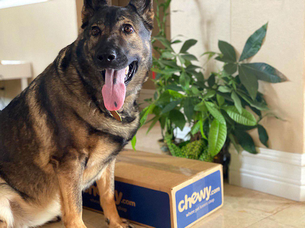 Chewy Subscription Box