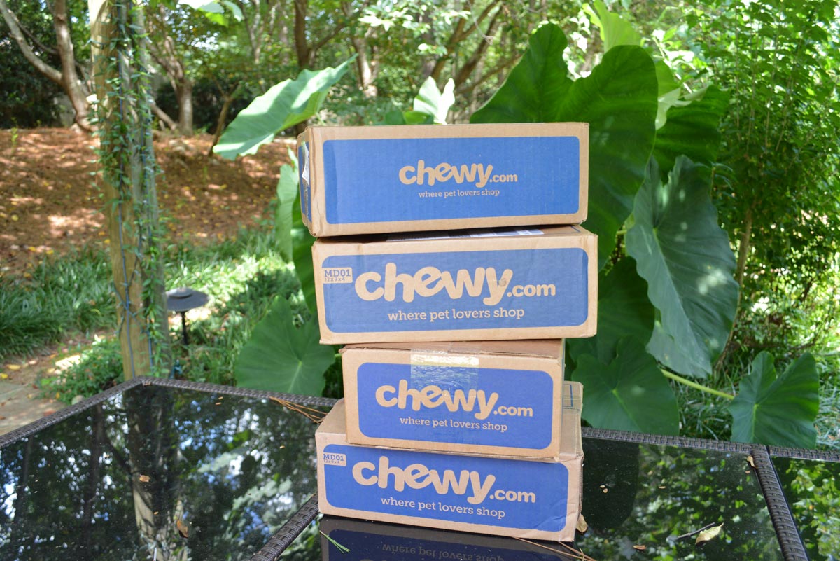 Chewy Summer 2020 Offers