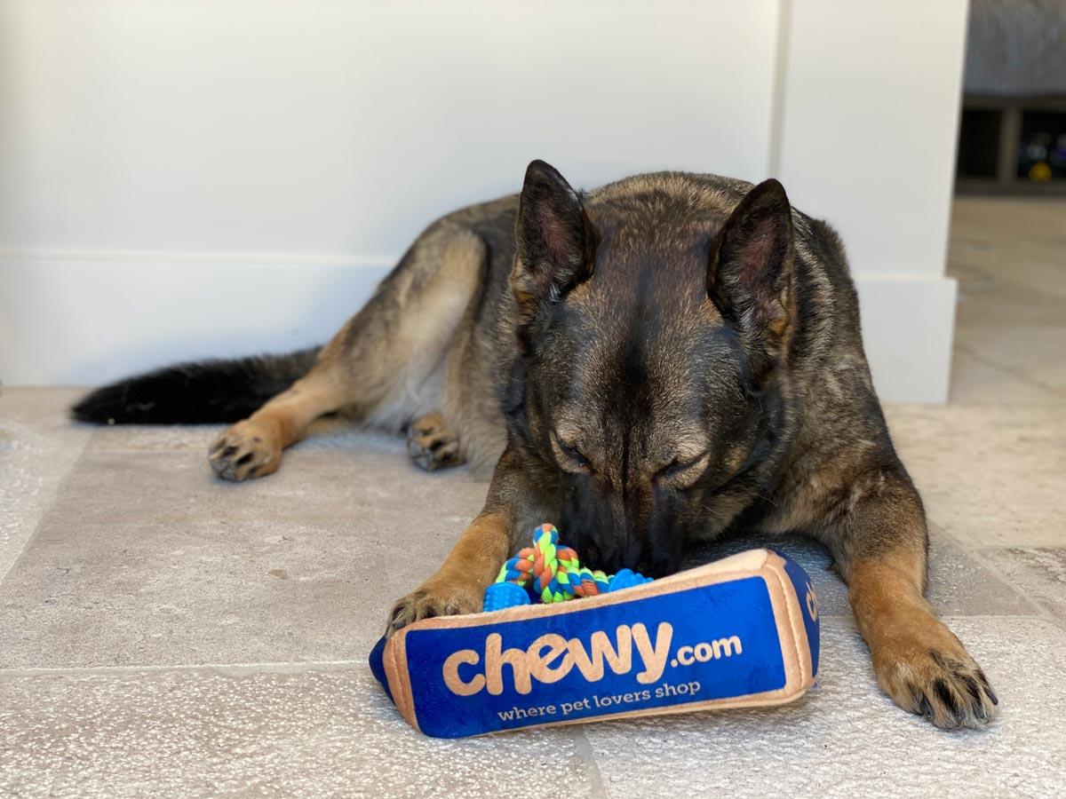 Chewy Summer Sale Deals