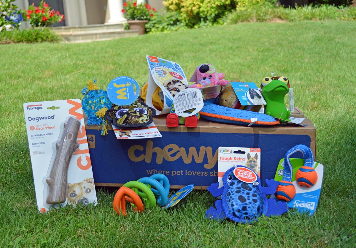 Chewy Toys Under $10