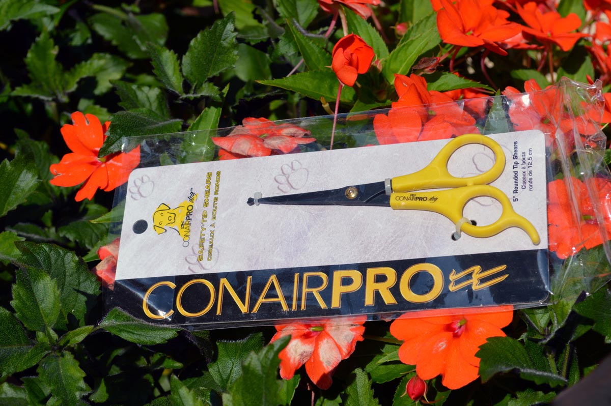 Chewy's ConAir Pro dog rounded-tip Shears
