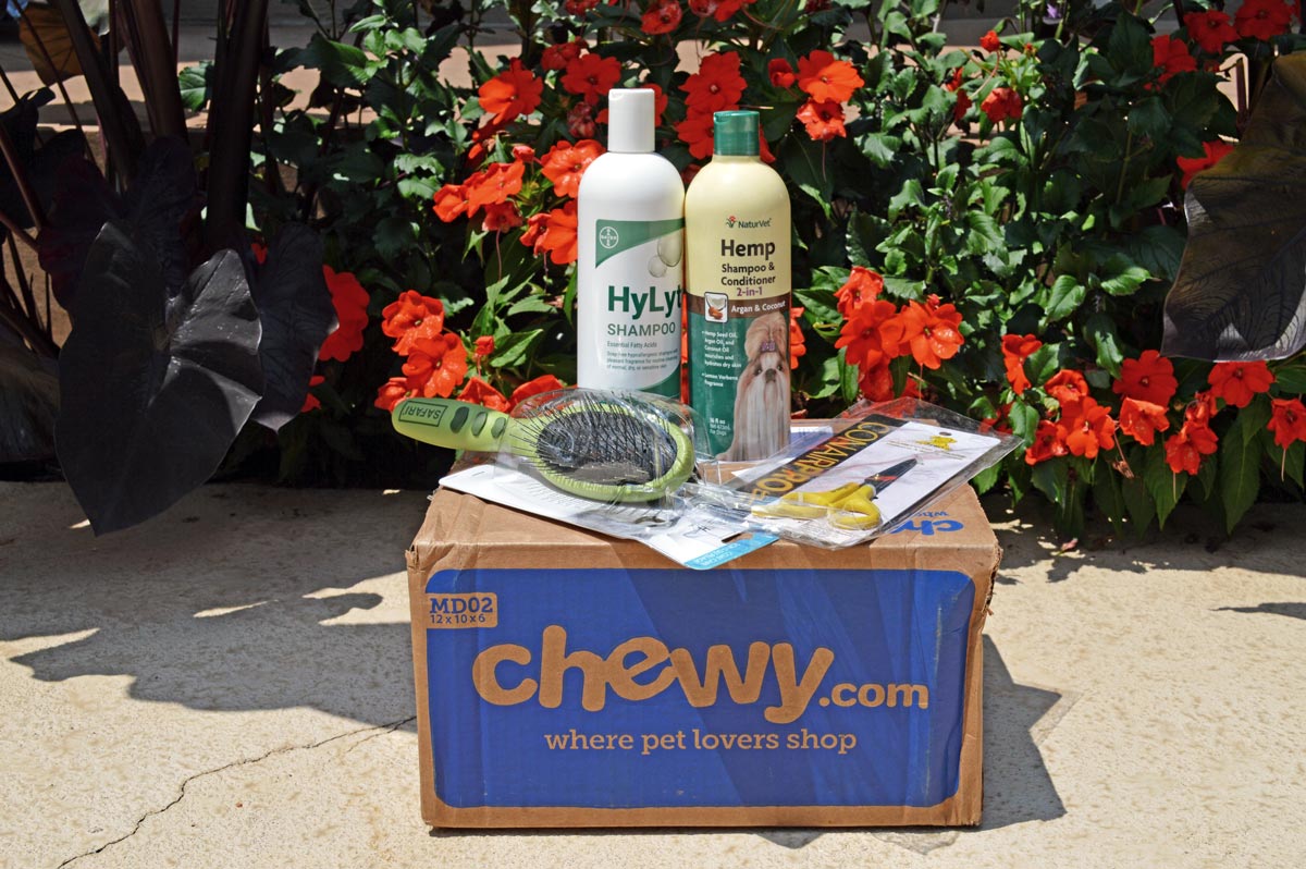 Chewy's Best Dog Grooming Products