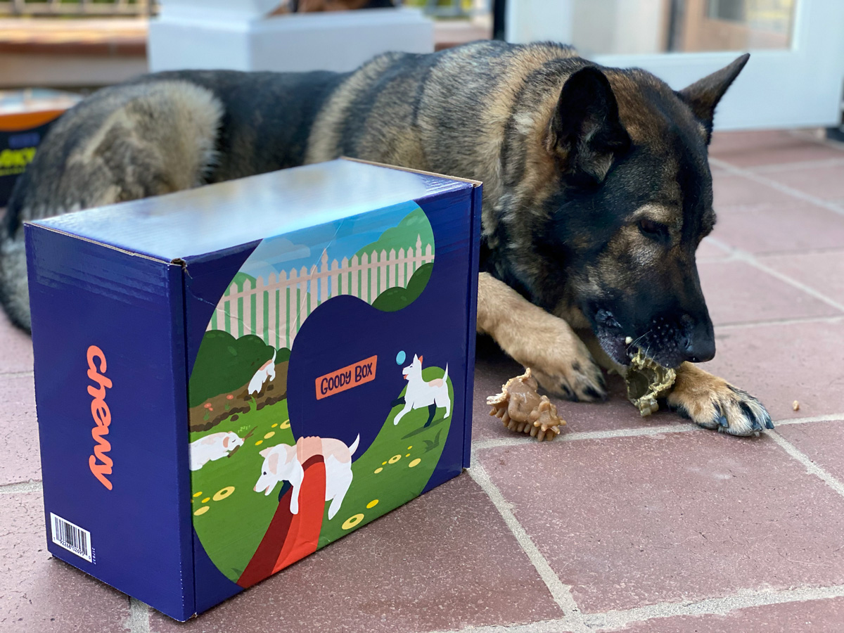 Chewy's Puppy Box Summer 2020