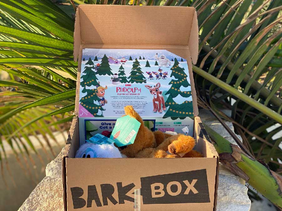 Christmas BarkBox