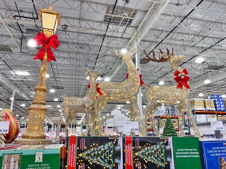 Christmas Outdoor Decorations at Costco