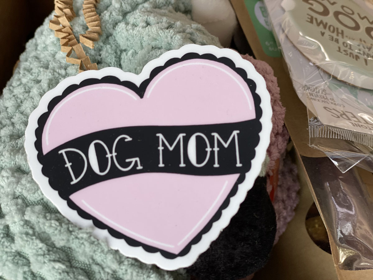 Dog Mom Box Promo Offers