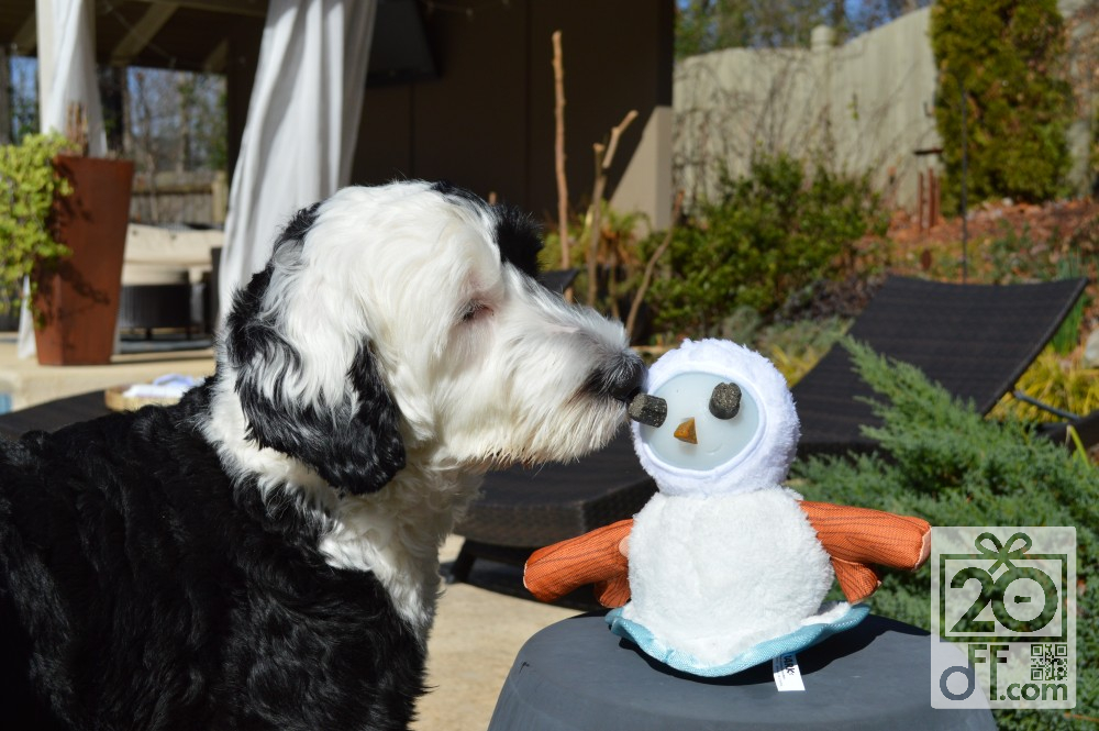 Dog vs Snowman