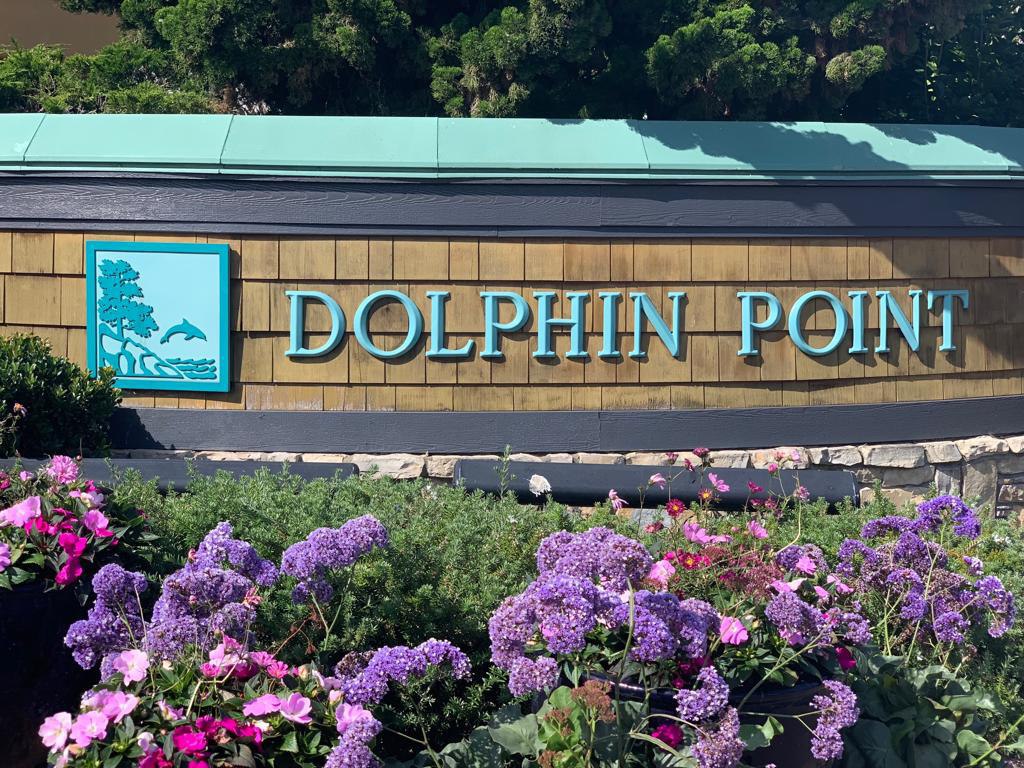 Dolphin Point Seaworld San Diego