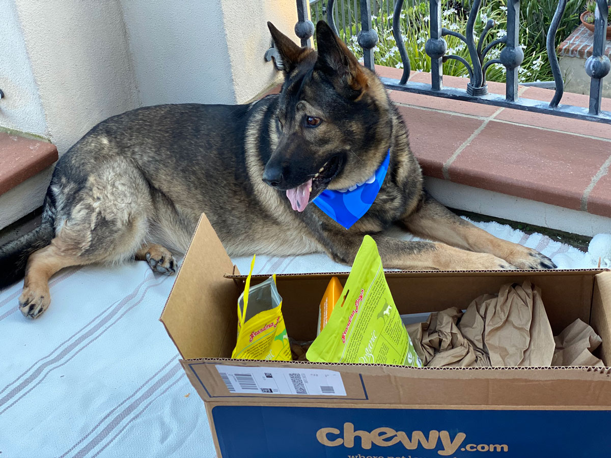 Essential Dog Products for Chewy Autoship