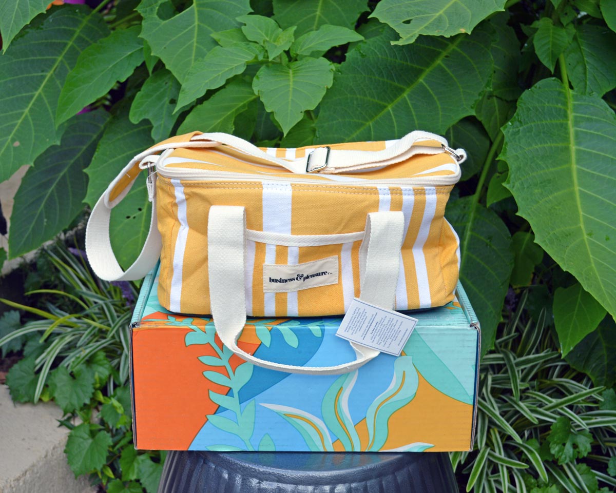 FabFitFun Summer Cooler Bag