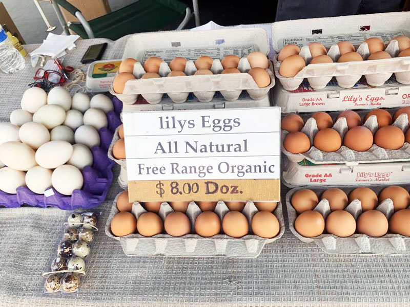 Farmers Organic Eggs