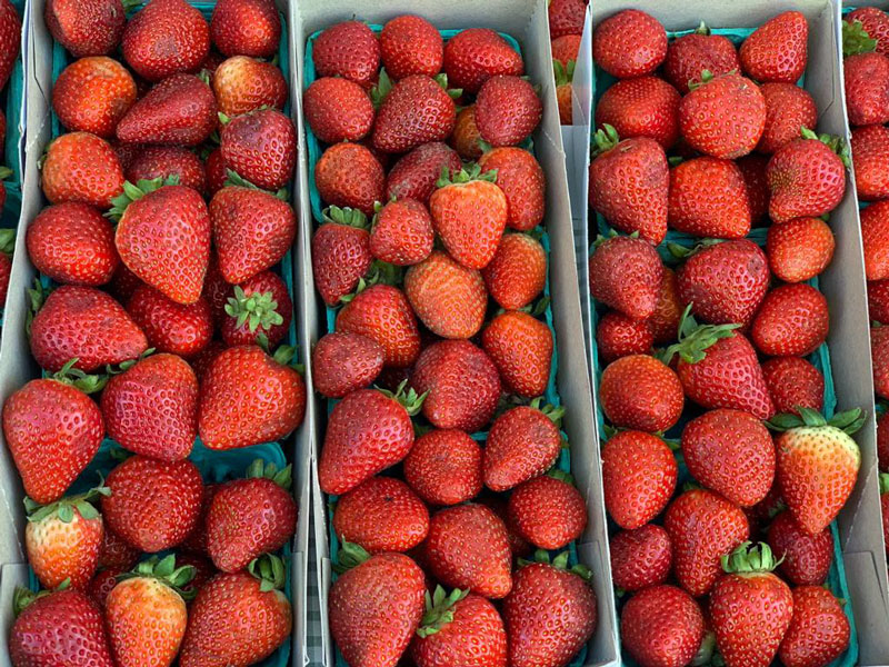 Farmers Organic Strawberries