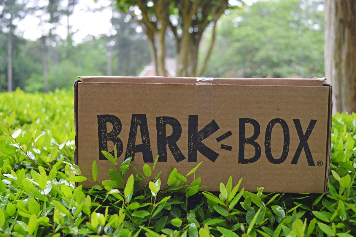 Favorite BarkBox Items