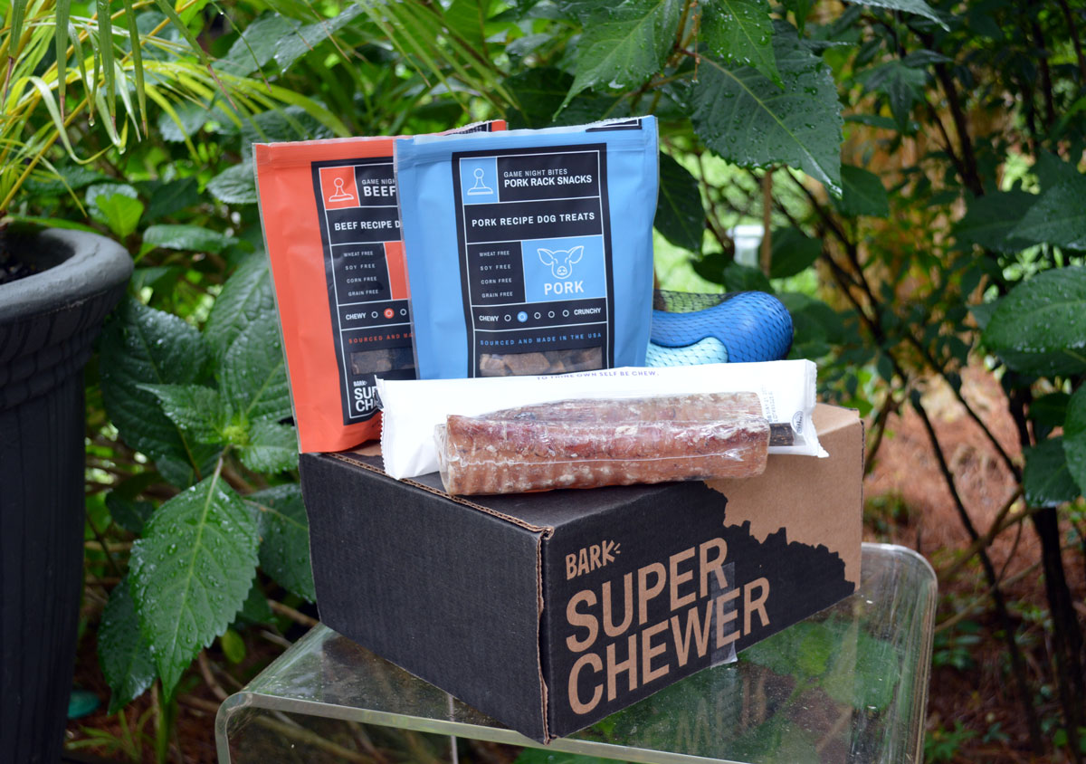 Favorite Items from Super Chewer