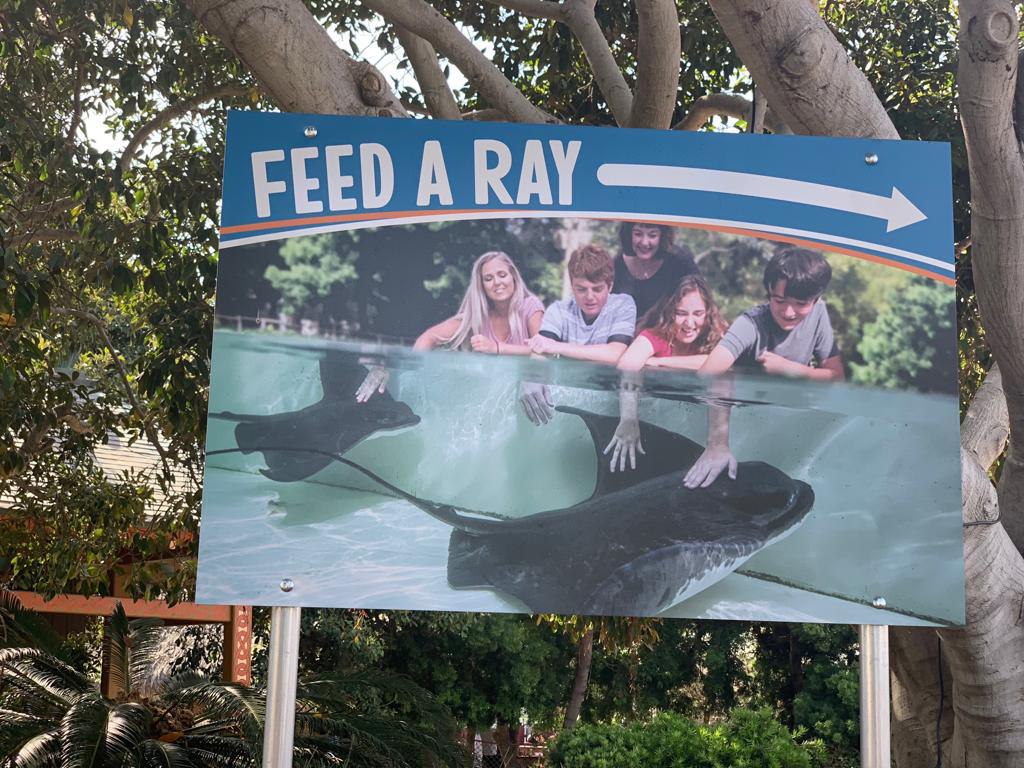 Feed a Ray Signpost