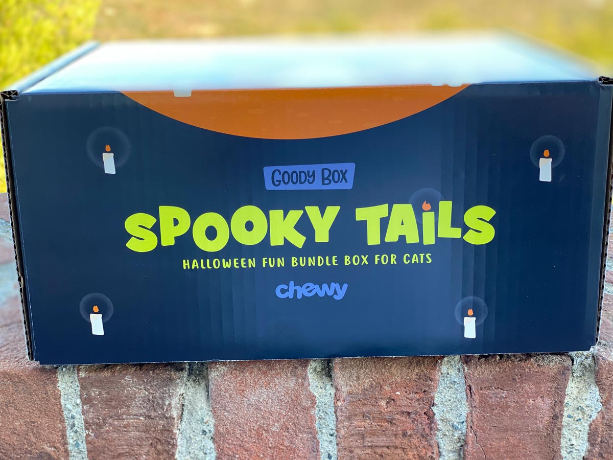 Goody Spooky Tails Box for Cats from Chewy