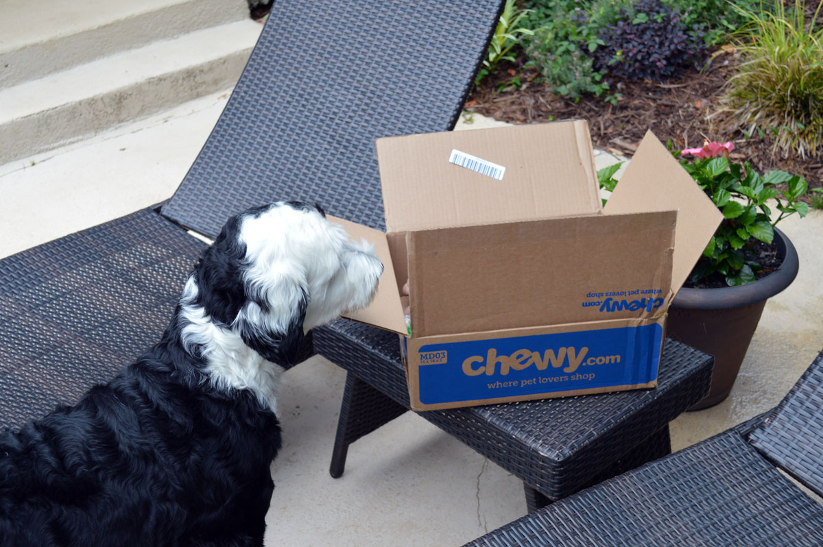 Grand Opening of the Chewy box