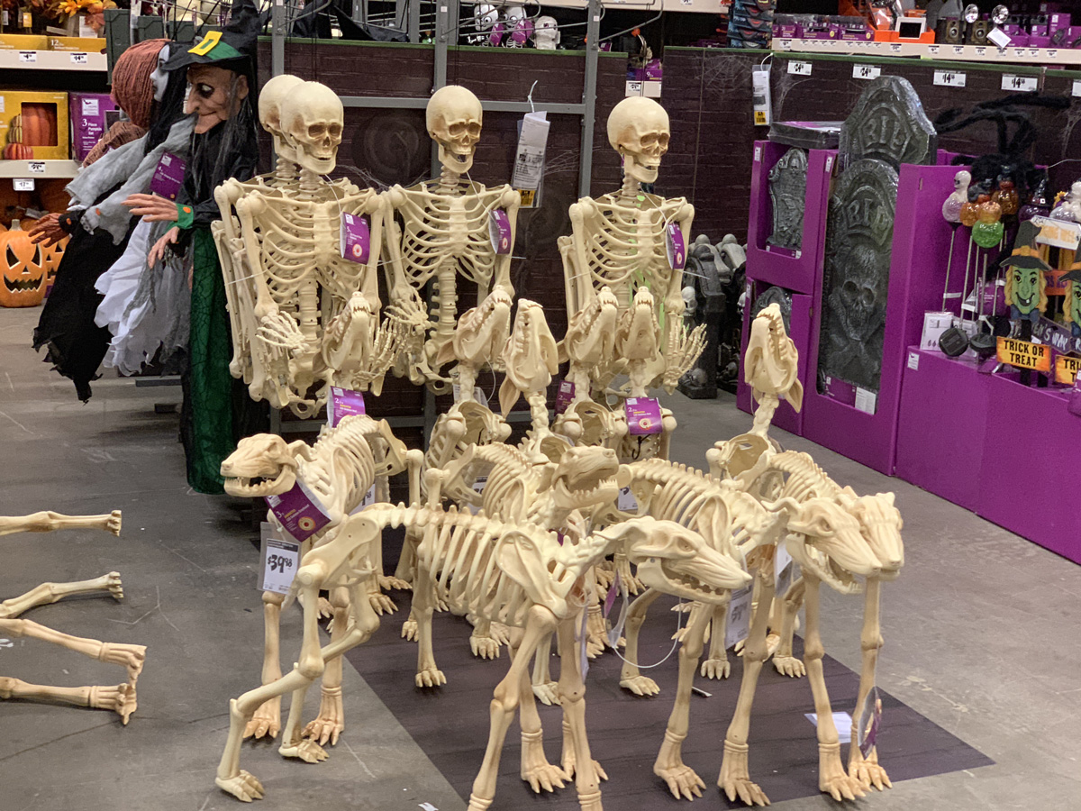Halloween Dog Skeletons