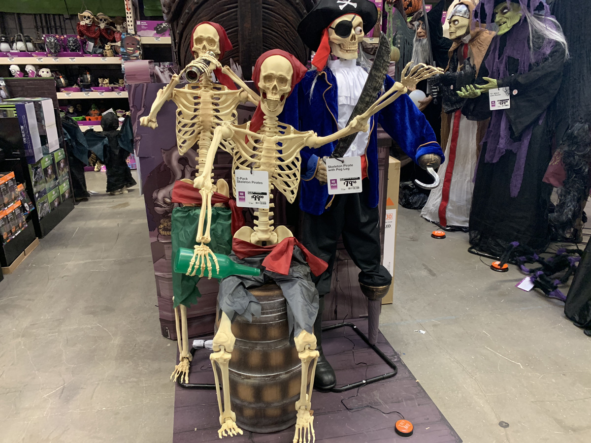 Halloween Pirate Skeleton