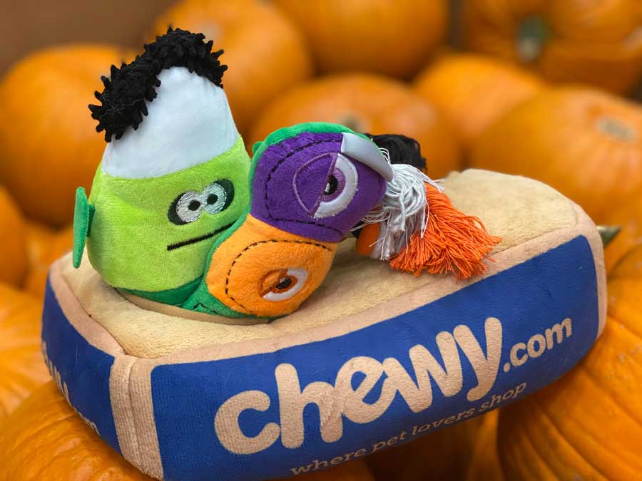 Halloween Toys from Chewy