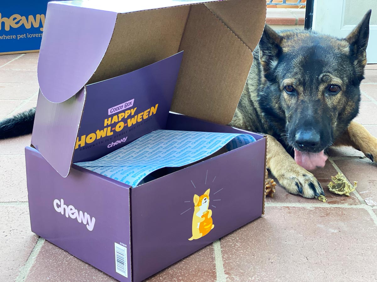 Happy Howl-O-Ween Chewy Goody Box Promo