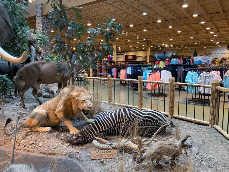Cabela's Sales and Promotions