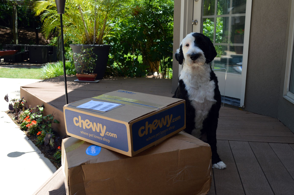 Marlo's Chewy Order