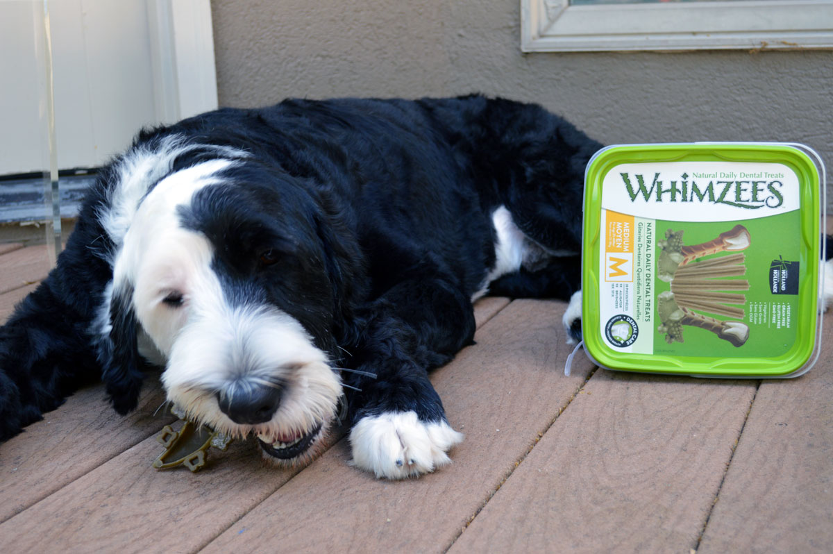 Marlo's Whimsies Dog Treats by Chewy