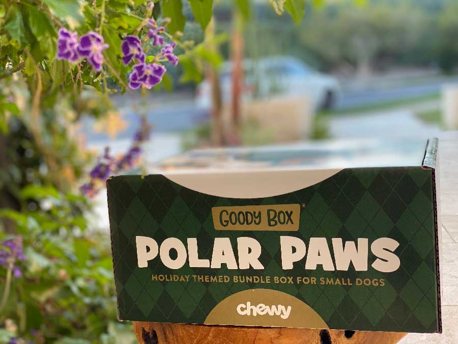 Polar Paws Goody Box for Small Dogs from Chewy