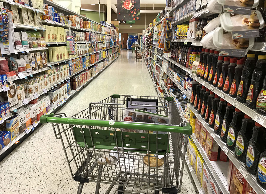 Publix Grocery Shopping